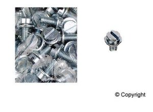 N107144 EMPI 9524-B N0107108 Engine tin screw w/Washer 6x10, 1 Screw