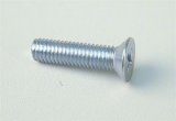 Door Wedge Screw DOOR SCREW