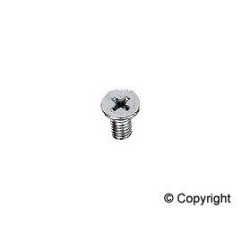 Machine Screw, 5x10mm Phillips head Side view mirror mount